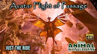 Avatar Flight of Passage