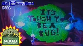 It's Tough to be a Bug!