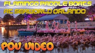 Flamingo Paddle Boats