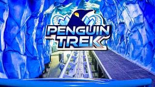 Penguin Trek