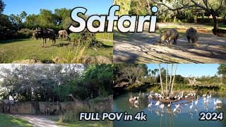 Kilimanjaro Safaris